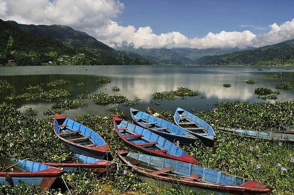 Phewa Tal (Phewa Lake), Pokhara, Gandaki, Western Region (Pashchimanchal), Nepal, Asia
