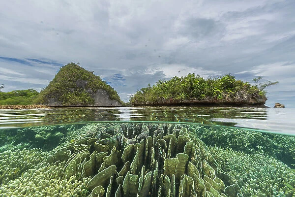 Above and below photo in the crystal clear water in the shallow reefs off Wayag Bay, Raja Ampat, Indonesia, Southeast Asia, Asia