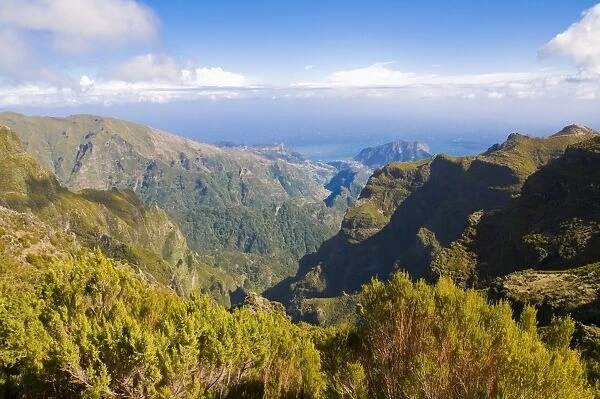 Pico de Ariero, Madeira, Portugal, Europe