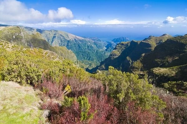 Pico de Ariero, Madeira, Portugal, Europe