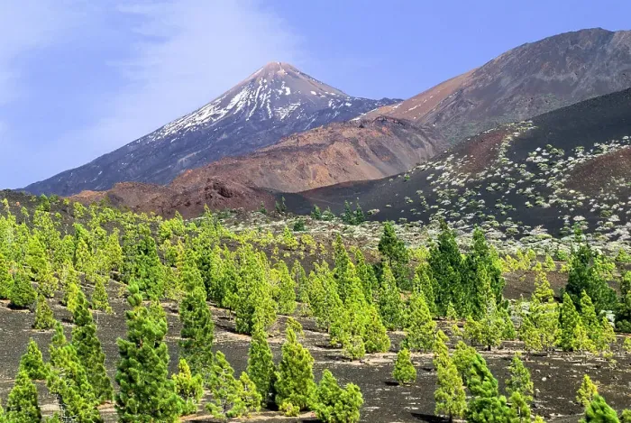 Framed Print : Pico Viejo, Caldeira de las Canadas, Mount Teide, Mount Teide National Park, UNESCO World Heritage Site, Tenerife, Canary Islands, Spain, Atlantic Ocean, Europe Framed Print : Pico Viejo, Caldeira de las Canadas, Mount Teide, Mount Teide National Park, UNESCO World Heritage Site, Tenerife, Canary Islands, Spain, Atlantic Ocean, Europe