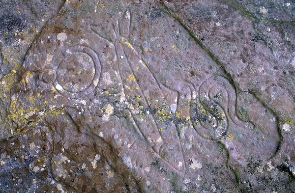 Pictish symbols of salmon