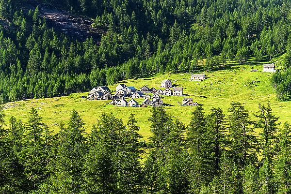 Picturesque alpine village built of rocks, surrounded by lush green meadows and forest, Varzo, Alpe Veglia, Verbania, Piedmont, Italy, Europe