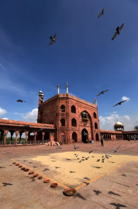 Framed Print : Pigeons feed on grain scattered on the paving stones in the courtyard of Jama Masjid Framed Print : Pigeons feed on grain scattered on the paving stones in the courtyard of Jama Masjid