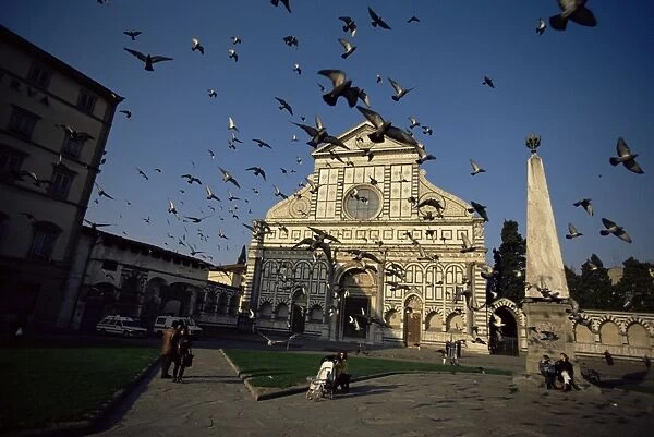 Pigeons in flight in the Piazza Santa Maria Novella