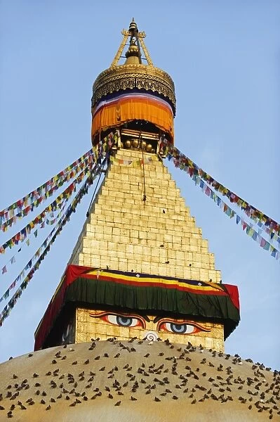 Pigeons and prayer flags on Boudha Stupa (Chorten Chempo), Boudhanath, Kathmandu
