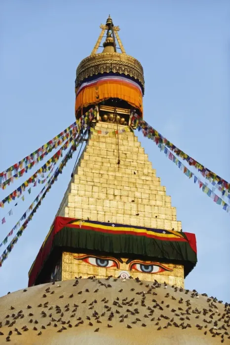 Framed Print : Pigeons and prayer flags on Boudha Stupa (Chorten Chempo), Boudhanath, Kathmandu Framed Print : Pigeons and prayer flags on Boudha Stupa (Chorten Chempo), Boudhanath, Kathmandu