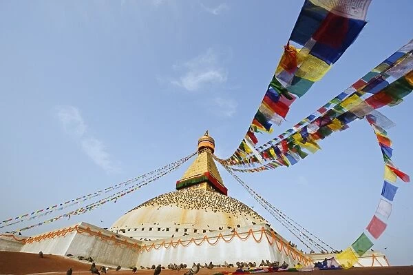 Pigeons and prayer flags on Boudha Stupa (Chorten Chempo), Boudhanath, Kathmandu