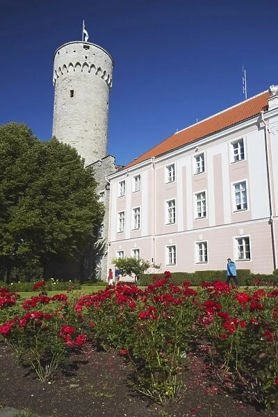 Pikk Hermann (Tall Hermann) Tower at Toompea Castle, Toompea, Tallinn, Estonia