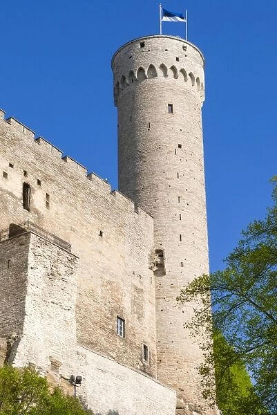 The Pikk Hermann Tower, part of the Toompea Castle, UNESCO World Heritage Site, Tallinn, Estonia, Baltic States, Europe