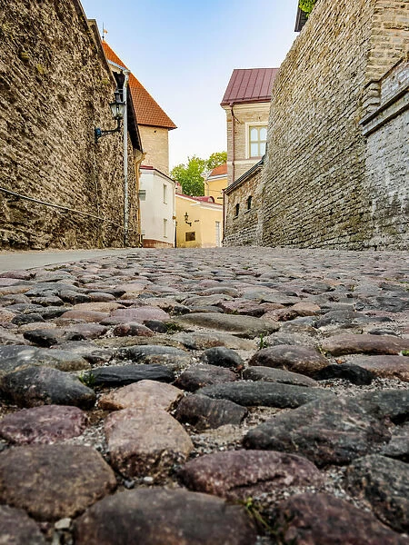 Pikk jalg street, low angle view, Old Town, Tallinn, Estonia, Europe