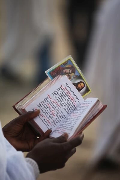 Pilgrim reading Bible in Amharic, Timkat festival, Gondar, Ethiopia, Africa