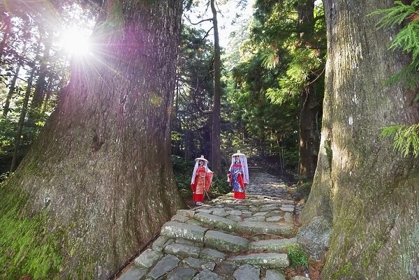 Pilgrims on Daimon-zaka Nachi tokaido pilgrimage route, UNESCO World Heritage Site, Wakayama Prefecture, Honshu, Japan, Asia