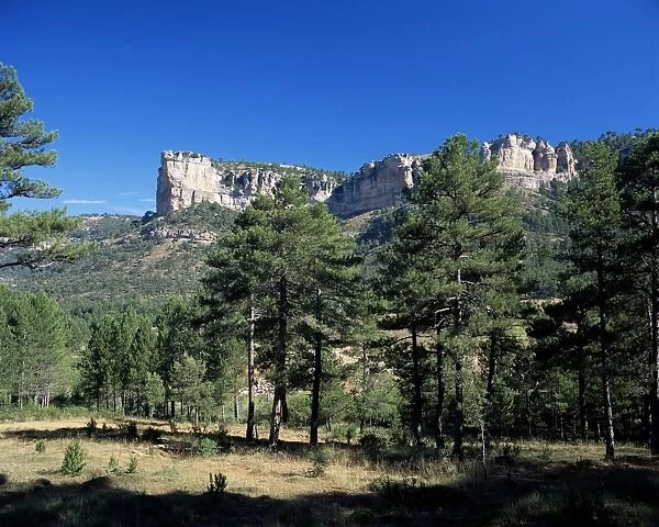 Pine forest and cliffs above the Jucar Gorge
