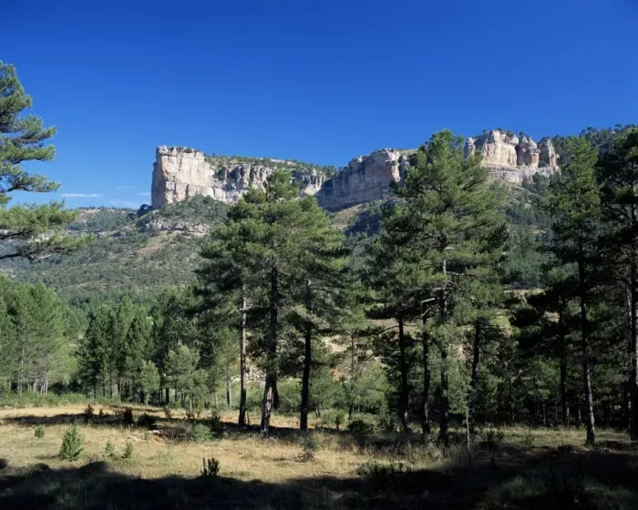 Framed Print : Pine forest and cliffs above the Jucar Gorge Framed Print : Pine forest and cliffs above the Jucar Gorge
