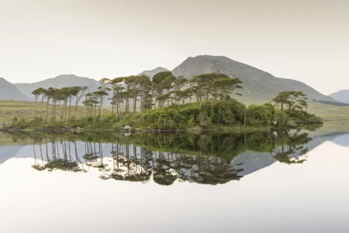 Framed Print : Pine Island on Derryclare Lake, Connemara, County Galway, Connacht province, Republic of Ireland Framed Print : Pine Island on Derryclare Lake, Connemara, County Galway, Connacht province, Republic of Ireland