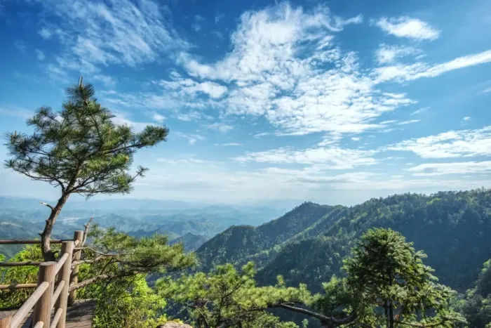 Framed Print : Pine tree and green mountains at Tian Mu Shan Four Sides peak, Zhejiang, China, Asia Framed Print : Pine tree and green mountains at Tian Mu Shan Four Sides peak, Zhejiang, China, Asia