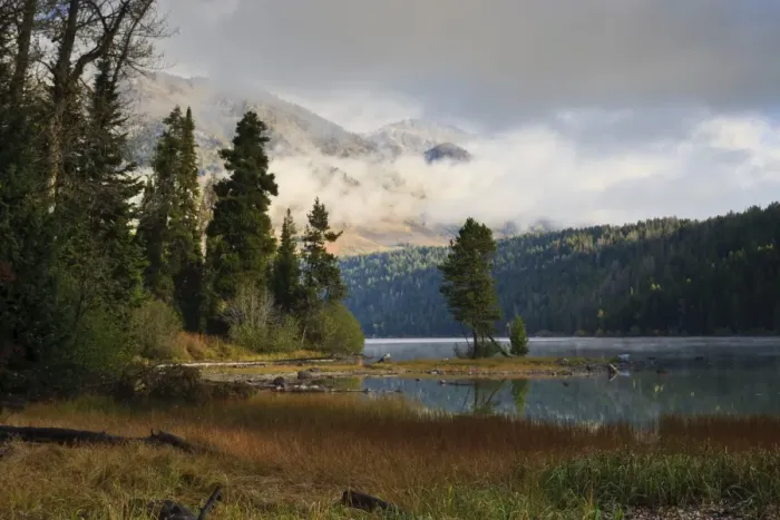 Framed Print : Pines, low clouds and mountains, autumn (fall) at Phelps Lake, Grand Teton National Park, Wyoming, United States of America, North America