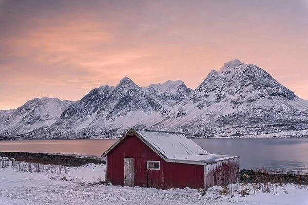 Pink clouds at dawn on the wooden hut surrounded by frozen sea and snowy peaks, Svensby