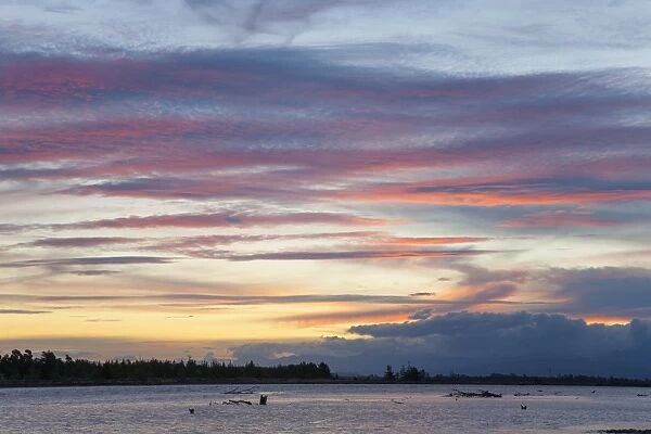 Pink clouds over the Wairau River estuary at dusk, Wairau Bar, near Blenheim, Marlborough