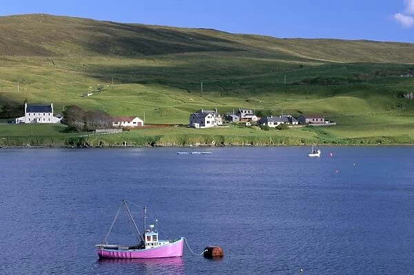 Pink fishing boat in Olna Firth near Voe
