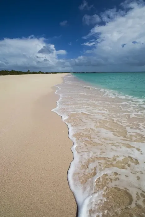 Framed Print : Pink Sand Beach is located on the southwest coast of the small island of Barbuda Framed Print : Pink Sand Beach is located on the southwest coast of the small island of Barbuda