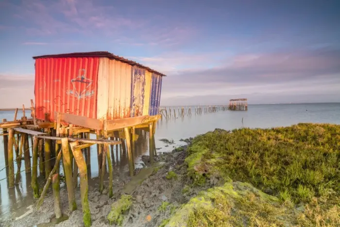 Framed Print : Pink sky at dawn on the Palafito Pier in the Carrasqueira Natural Reserve of Sado River