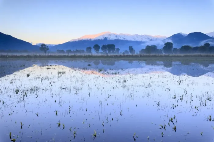 Framed Print : Pink sky at dawn on the snowy peaks of Monti Lariani reflected in flooded land, Pian di Spagna Framed Print : Pink sky at dawn on the snowy peaks of Monti Lariani reflected in flooded land, Pian di Spagna