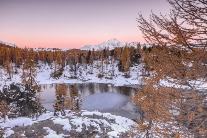Framed Print : Pink sky at sunrise frames the frozen Lake Mufule surrounded by woods, Malenco Valley Framed Print : Pink sky at sunrise frames the frozen Lake Mufule surrounded by woods, Malenco Valley