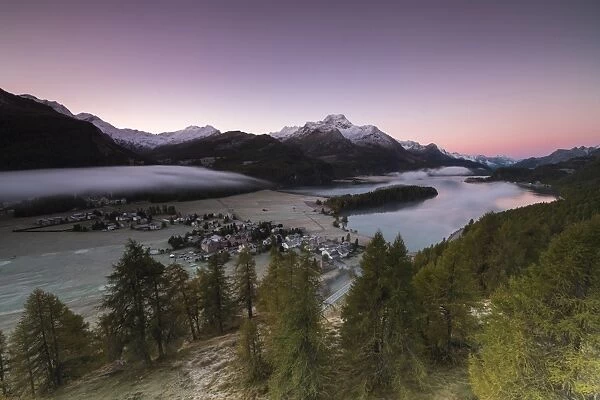 Pink sky at sunrise and mist on the lake and alpine village of Sils, Canton of Graubunden