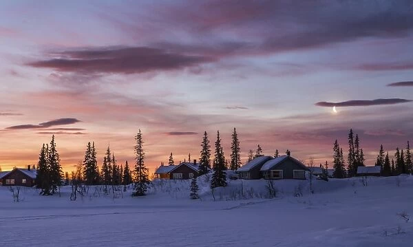 Pink sky at sunrise, Rorvik, Borgefjell National Park, Trondelag, Norway, Scandinavia