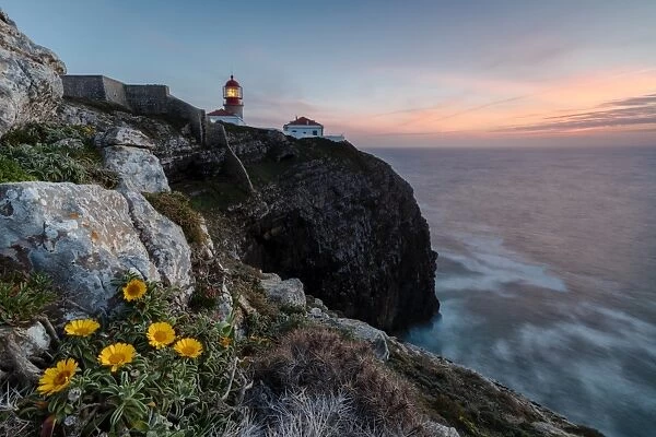 Pink sky at sunset and yellow flowers frame the lighthouse, Cabo De Sao Vicente, Sagres