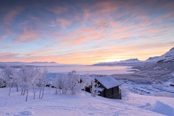 Pink sunrise on the snowy landscape, Bjorkliden, Abisko, Kiruna Municipality, Norrbotten County