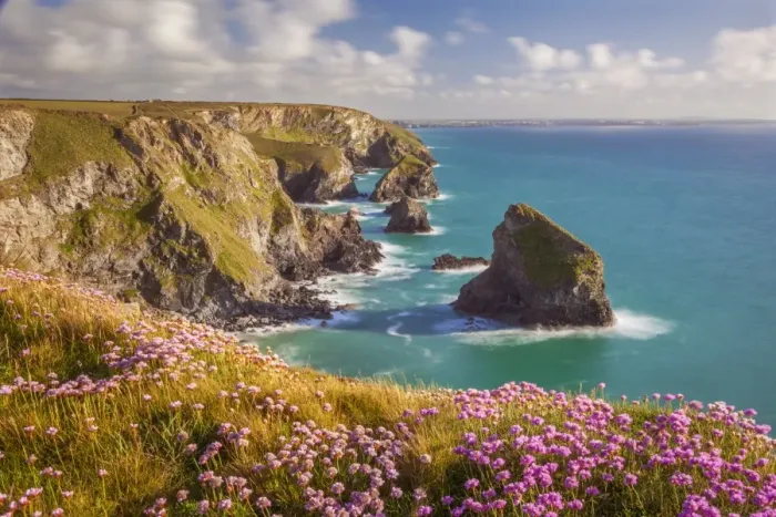Framed Print : Pink thrift flowers, Bedruthan Steps, Newquay, Cornwall, England, United Kingdom, Europe Framed Print : Pink thrift flowers, Bedruthan Steps, Newquay, Cornwall, England, United Kingdom, Europe