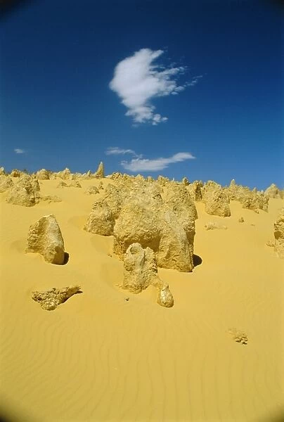 The Pinnacle Desert, Nambung National Park near Perth, Western Australia, Australia