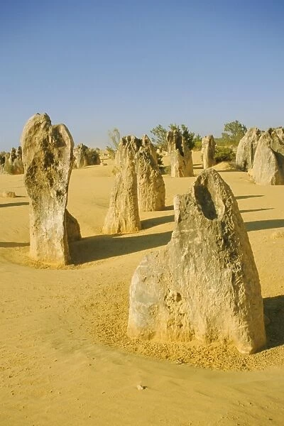 Pinnacles Desert, Nambung National Park, Western Australia, Australia