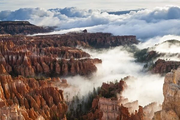Pinnacles and hoodoos with fog extending into clouds of a partial temperature inversion, Bryce Canyon National Park, Utah, United States of America, North America