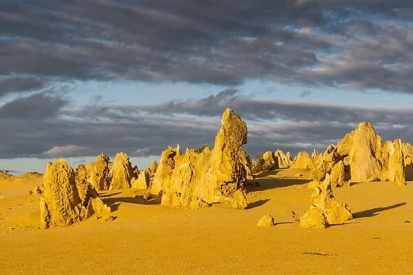 The Pinnacles limestone formations at sunset in Nambung National Park, Western Australia, Australia, Pacific