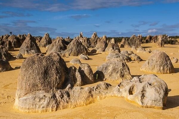 The Pinnacles limestone formations at sunset in Nambung National Park, Western Australia, Australia, Pacific