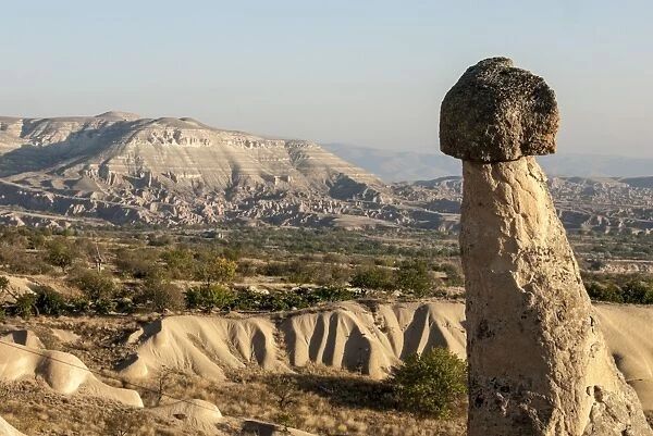Pinnacles of volcanic ash, Urgup, UNESCO World Heritage Site, Cappadocia, Anatolia, Turkey, Asia Minor, Eurasia