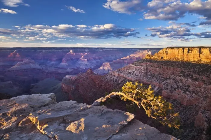 Framed Print : Pipe Creek Vista Point Overlook, South Rim, Grand Canyon National Park, UNESCO World Heritage Site, Arizona, United States of America, North America Framed Print : Pipe Creek Vista Point Overlook, South Rim, Grand Canyon National Park, UNESCO World Heritage Site, Arizona, United States of America, North America
