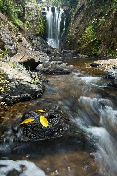 Piroa Falls, Waipu, Northland, North Island, New Zealand, Pacific