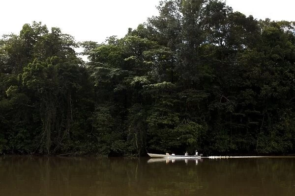 A pirogue on the Approuague River, French Guiana, South America