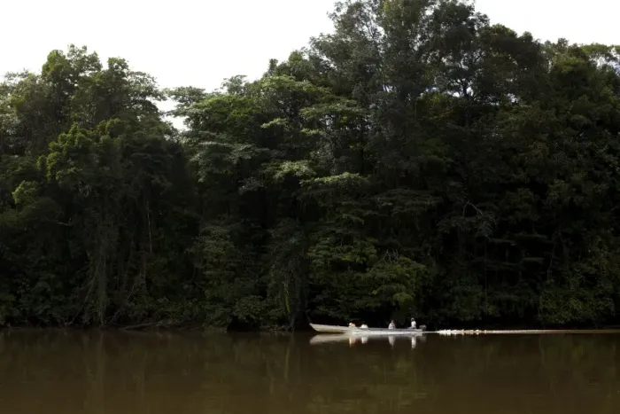 Framed Print : A pirogue on the Approuague River, French Guiana, South America Framed Print : A pirogue on the Approuague River, French Guiana, South America