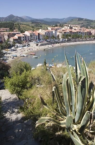 Plage de Port d Avall, beach, Collioure, Pyrenees-Orientales, Languedoc