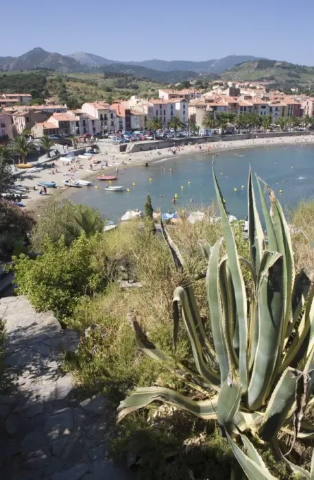Framed Print : Plage de Port d Avall, beach, Collioure, Pyrenees-Orientales, Languedoc Framed Print : Plage de Port d Avall, beach, Collioure, Pyrenees-Orientales, Languedoc