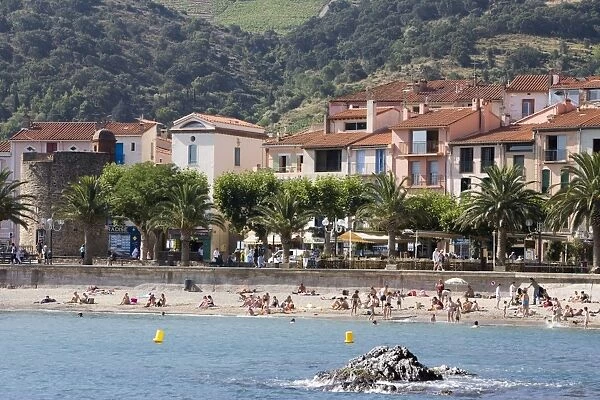 Plage de Port d Avall, Collioure, Pyrenees-Orientales, Languedoc, France, Europe
