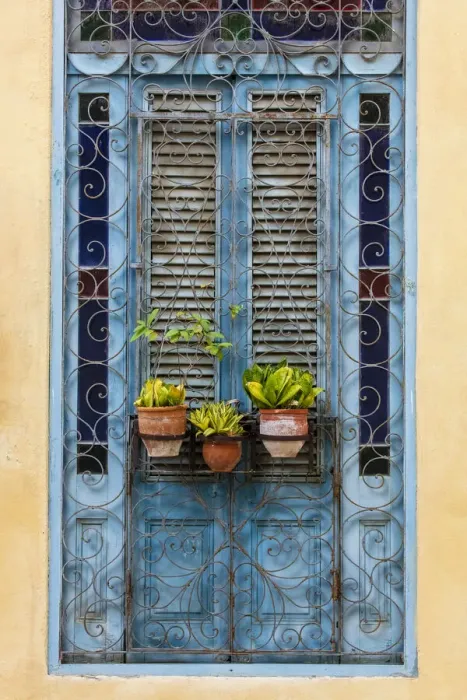 Framed Print : Plants in pots hanging on ornate doorway, Havana, Cuba, West Indies, Central America Framed Print : Plants in pots hanging on ornate doorway, Havana, Cuba, West Indies, Central America