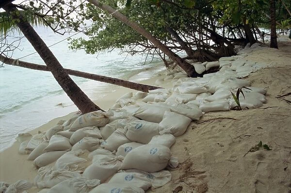 Plastic bags filled with sand as erosion control