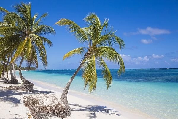 Playa Cabeza de Toro, Punta Cana, Dominican Republic, West Indies, Caribbean, Central